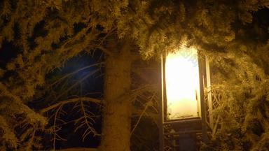 明亮的晚上灯笼冷杉冬天降雪圣诞节一年